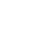 x icon